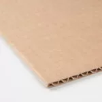 Chapa de Papelão